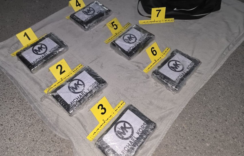 Zaplenjena droga u Novom Sadu 