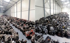 Wielki nalot policji na złodziei samochodów. Dziupla jak hala produkcyjna koncernu