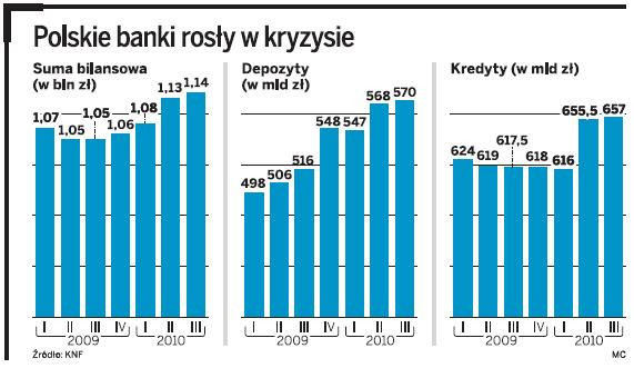 Polskie banki rosły w kryzysie