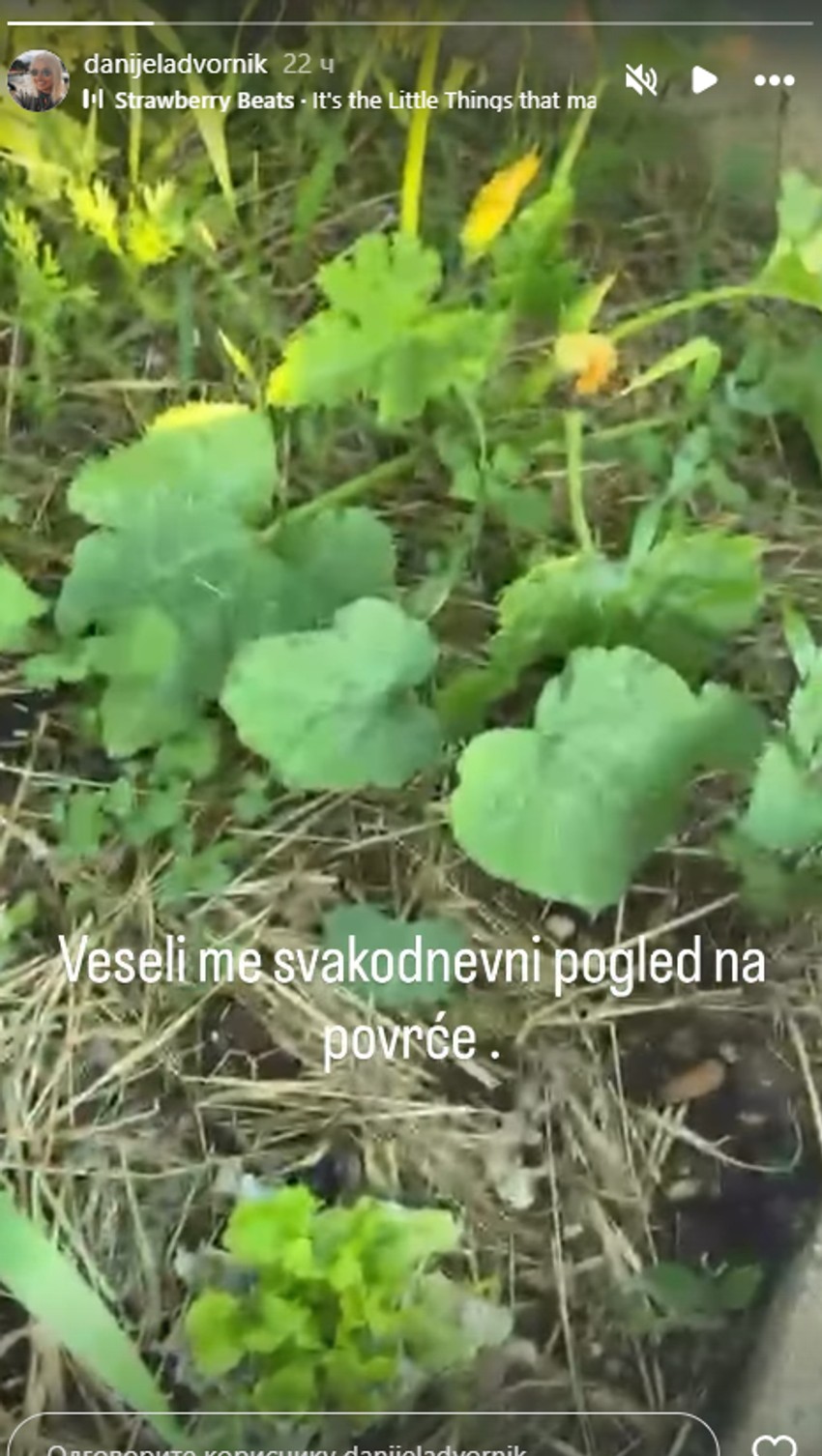 Danijela Dvornik pokazala baštu