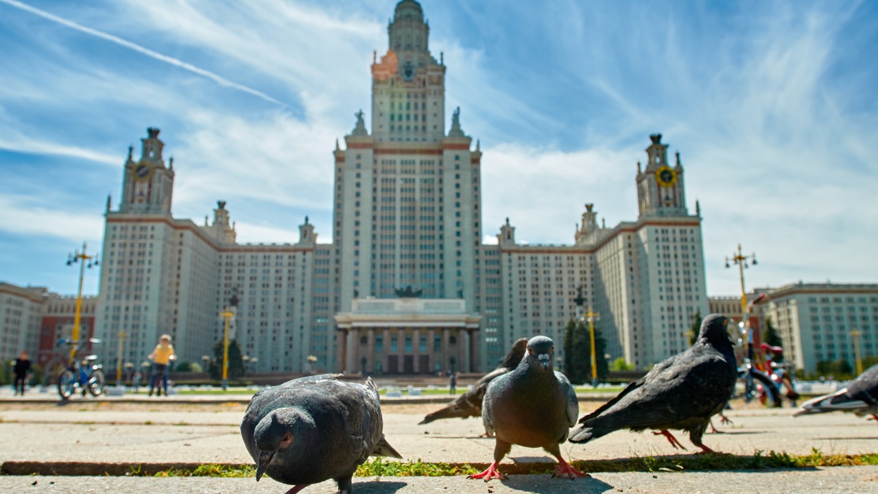 Uniwersytecka klęska Putina. Rosyjskie uczelnie spadają w światowych rankingach.  