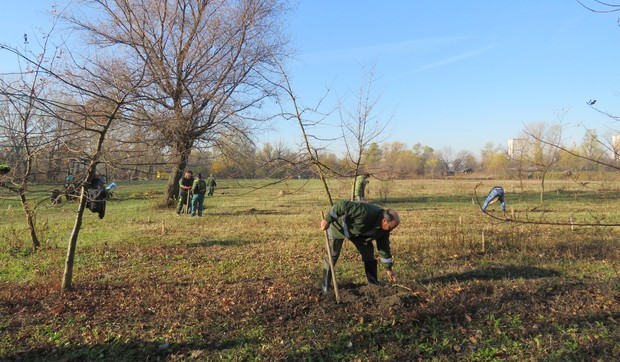 akcija pošumljavanjaa