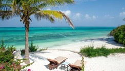 See why Zanzibar’s economy took a hit during the year