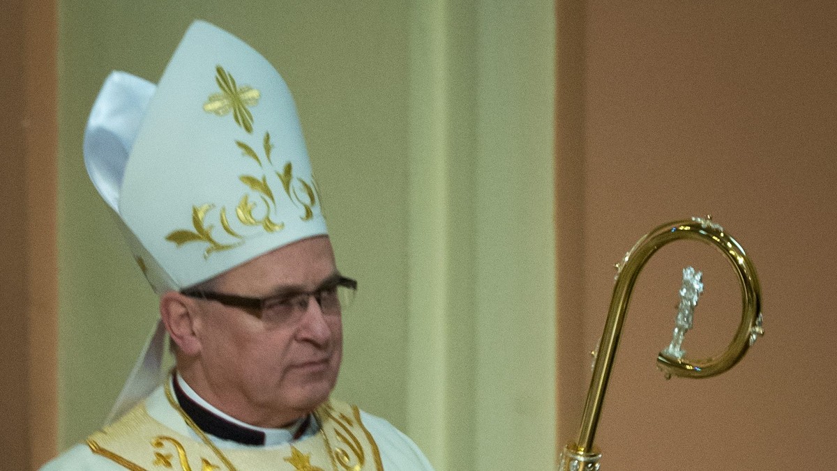 W liście bp. Wiesława Meringa do przewodniczącego Parlamentu Europejskiego Martina Schulza – oprócz błędów w samym tłumaczeniu – znalazła się też historyczna wpadka. W wersji niemieckojęzycznej duchowny został przedstawiony jako biskup "Leslau", a nie diecezji "Włocławek". Kuria już przeprosiła za "niefrasobliwy błąd tłumacza".