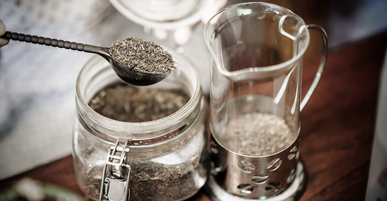 Czarcie żebro - właściwości i zastosowanie. Czym jest to zapomniane zioło?