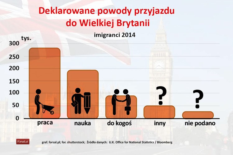Najwięcej imigrantów przyjeżdża do Wielkiej Brytanii głównie po to by pracować. Jest też duża grupa obcokrajowców, których celem przyjazdu jest nauka. Dwie trzecie tych, którzy zamierzają pracować ofert pracy poszukują dopiero po przybyciu na Wyspy.