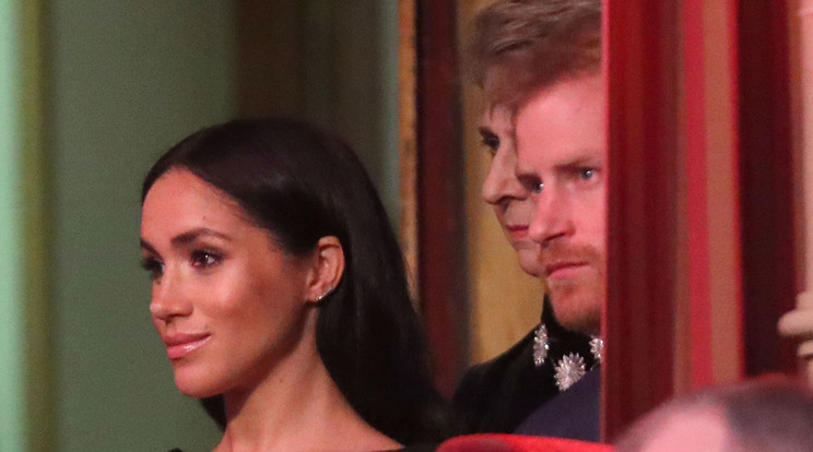 Meghan és Harry / Fotó: Northfoto