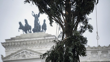 Był drapak, jest połamaniec. Choinka za ponad milion złotych znów nie zachwyca