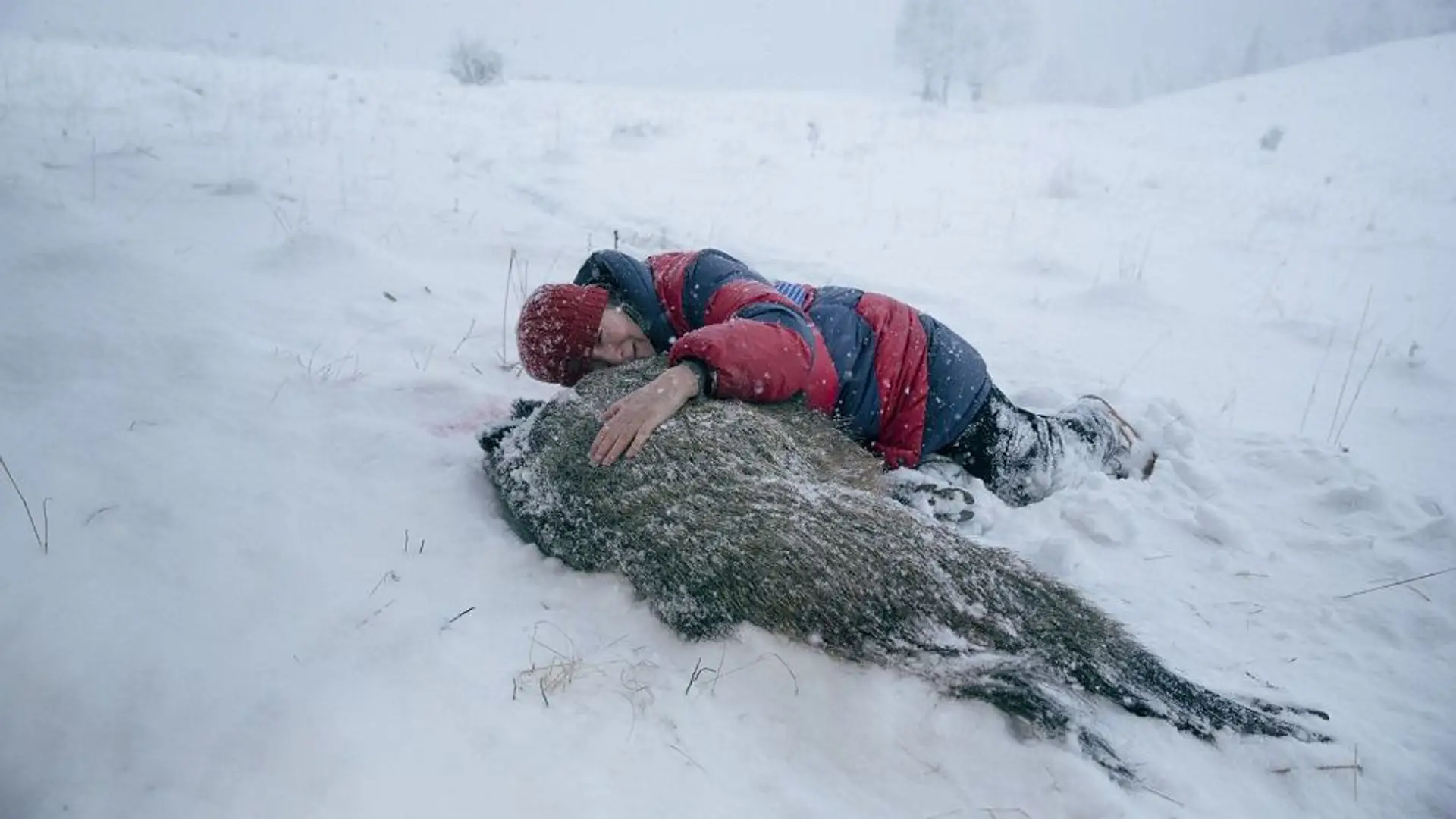 Agnieszka Holland zmajstrowała mroczny kryminał i sam trailer filmu przyprawia o ciarki na plecach