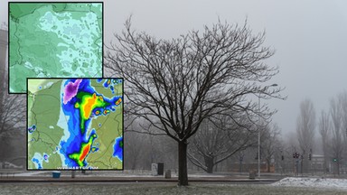 Sprawdziliśmy, czy wróci jeszcze sroga zima. Prognozy pogody nie pozostawiają złudzeń