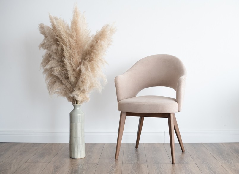 Trawa pampasowa ozdobi każde wnętrze.