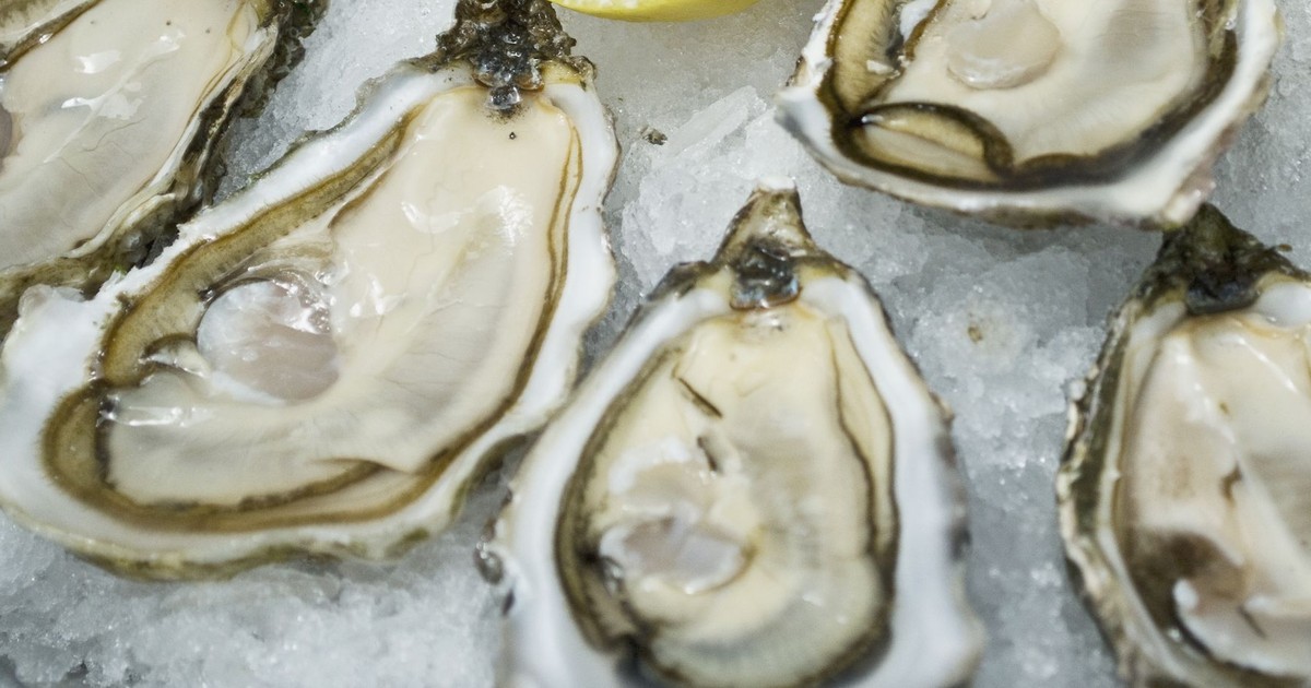 Dr. Pimple Popper Just Squeezed 'Oyster Juice' From An Angry Epidermoid