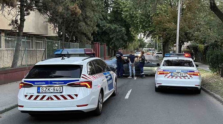 A bekokainozott sofőrt hamar elfogták a rendőrök / Fotó: Pest Vármegyei Rendőr-főkapitányság