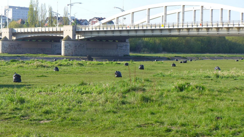 Strażnicy będą karać za picie nad Wartą