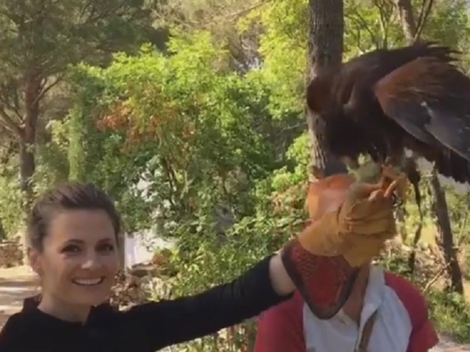 114103_stana-katic-1