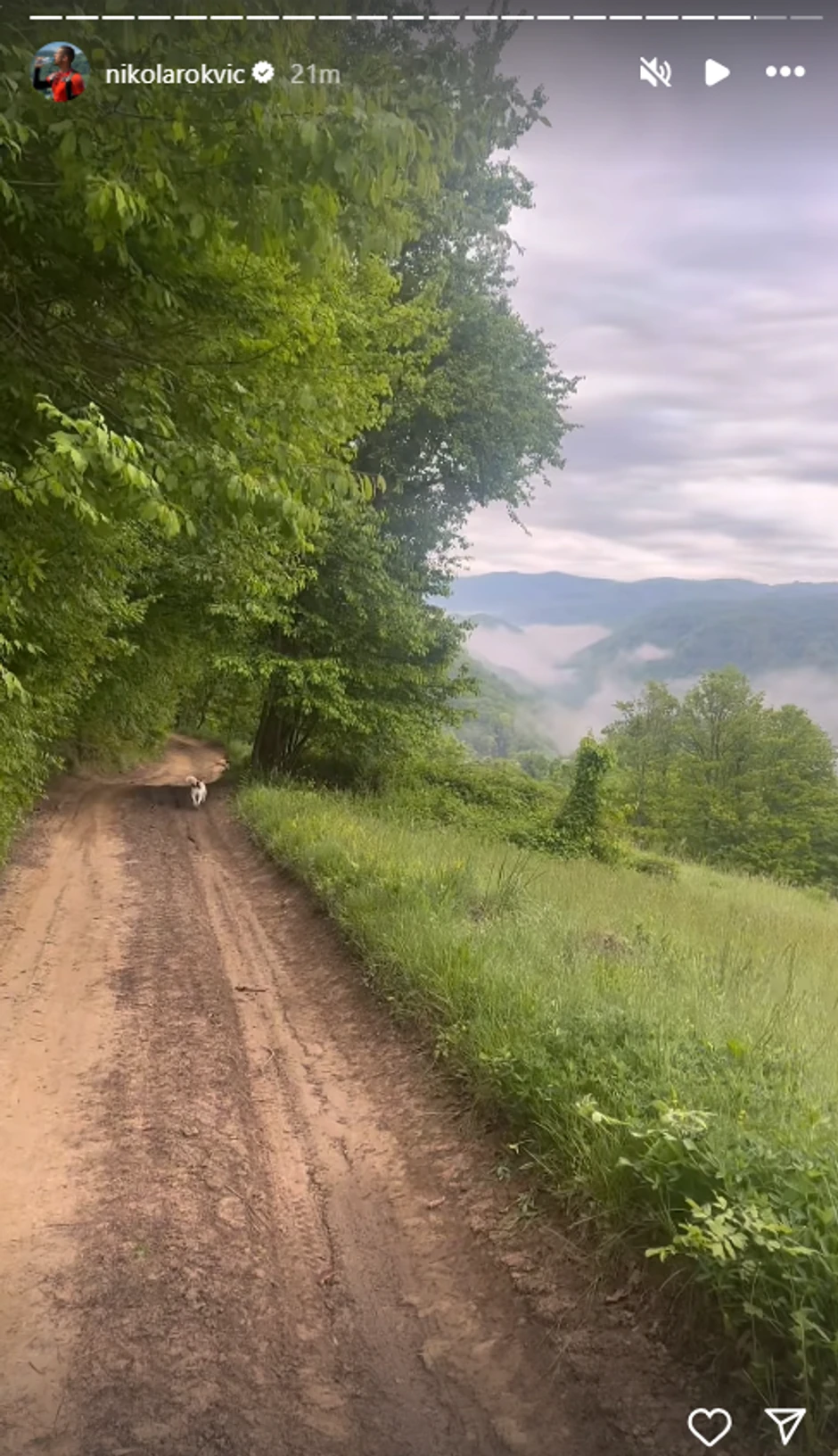 Nikola Rokvić, deseti dan hodočašća