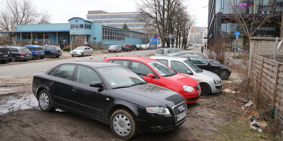 Będziemy karać kierowców parkujących na trawie