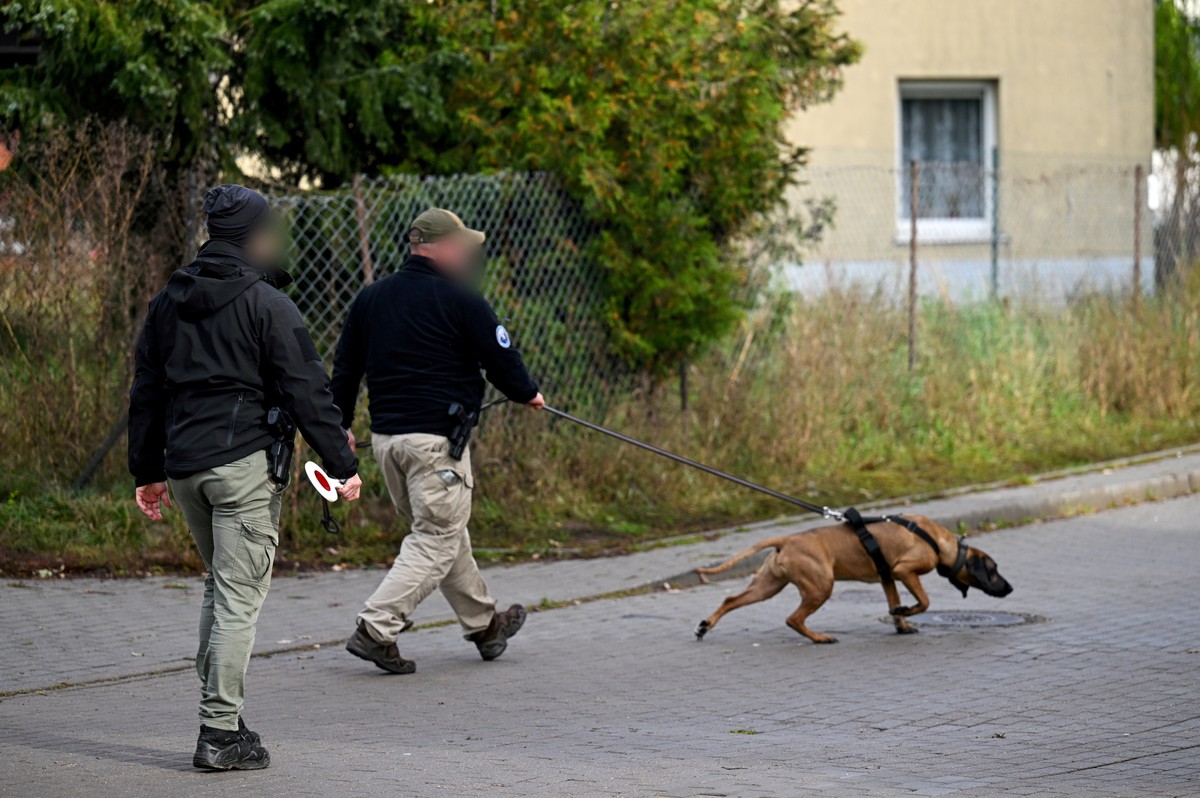 Obława na 44-letniego Grzegorza Borysa w Gdyni