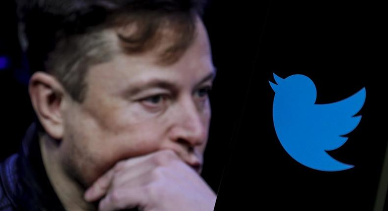 Twitter's CEO Elon Musk/Getty Images