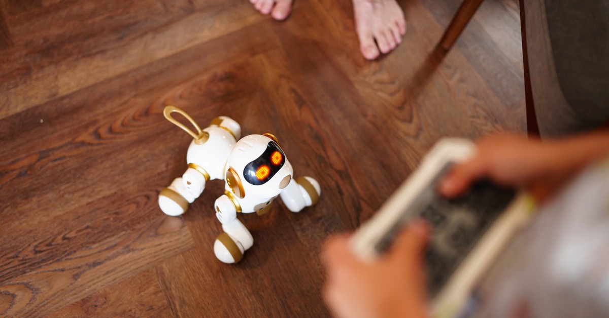 Pupil z instrukcją obsługi. Robopsy napędzają rynek robotyki