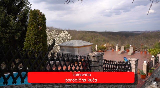 Tamara Milutinović kuća