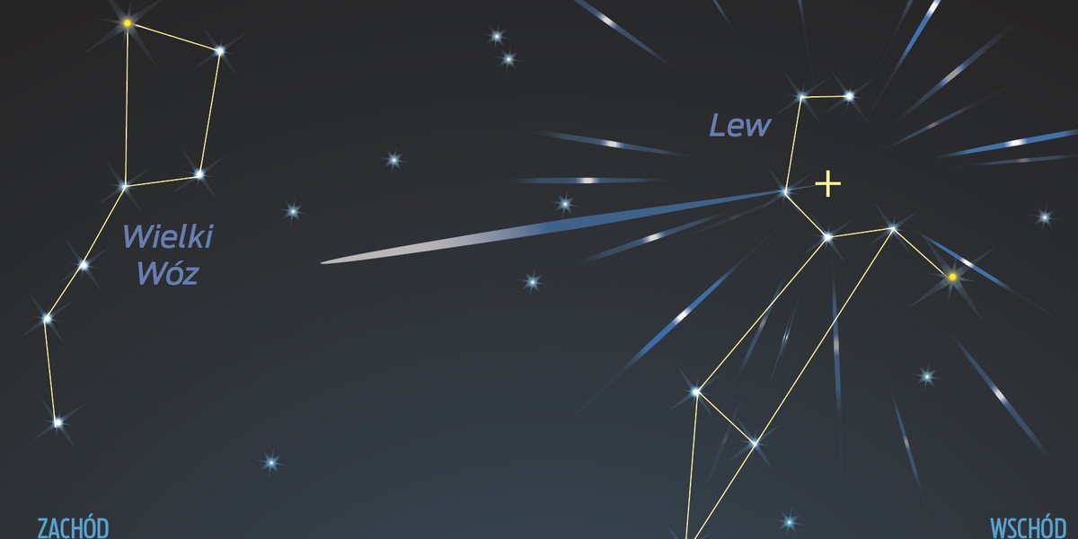 Skąd nazwa? Radiant roju Leonidów, czyli punkt, z którego zdają się wybiegać meteory (na infografice zaznaczony krzyżykiem), znajduje się w gwiazdozbiorze Lwa. 