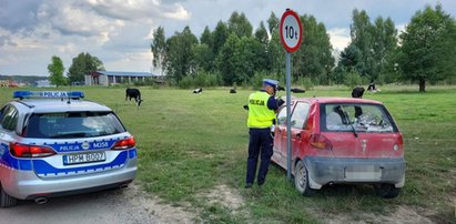 11-latek uciekał autem przed policją. Wcześniej wywinął niezły numer...