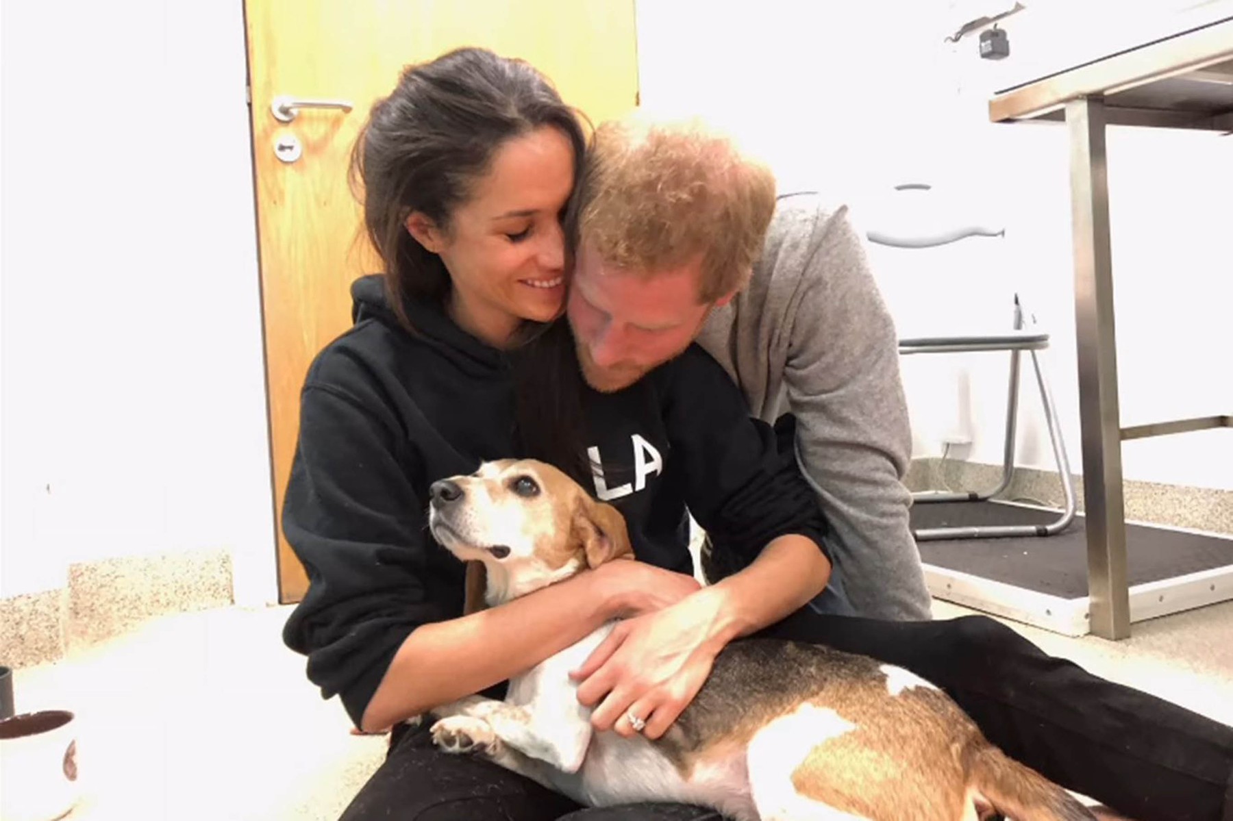 Meghan Markle s princom Harrym smútia za psíkom Guyom. 