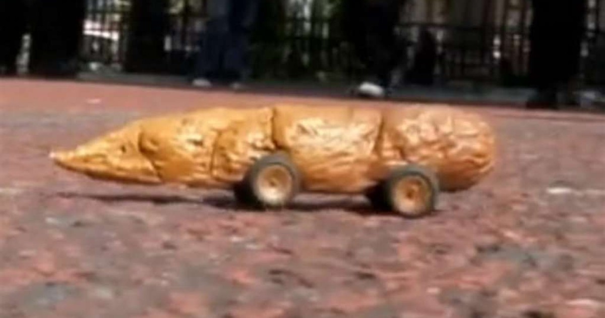 Kupa na pilota ściga ludzi. WIDEO