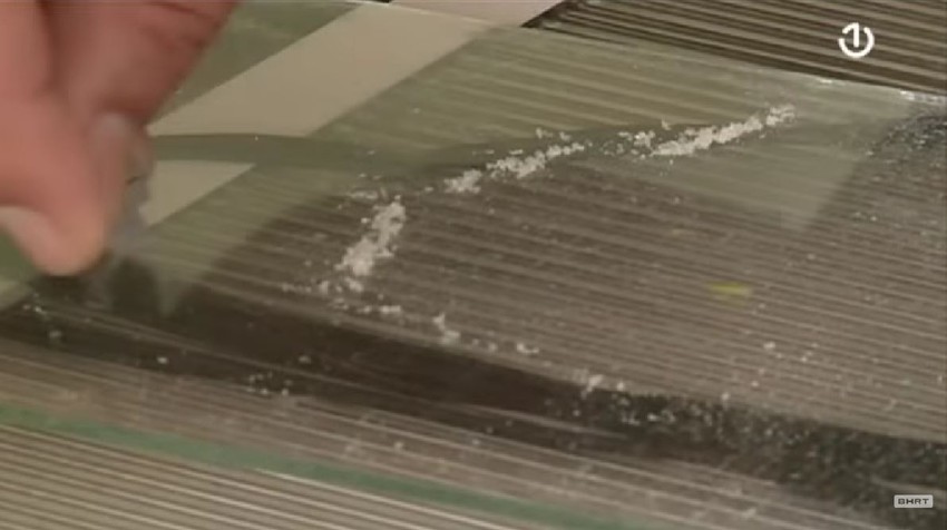 Sakupljanje pčelinjeg otrova