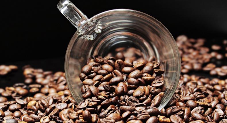 Kenyan Coffee export