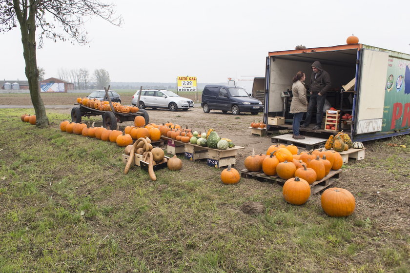 Zbliża się Halloween! Jak go spędzić w Poznaniu?