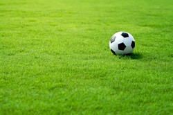 Afryka popiera dwuletni cykl piłkarskich mistrzostw świata