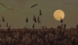 Kiedy zaczyna się astronomiczna jesień 2025? Na niebie szykuje się widowisko