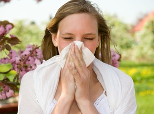 Alergie nasilają się wraz ze zmianą klimatu [BADANIE]