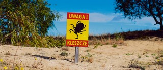 Pogoda na szczepienia przeciw kleszczom