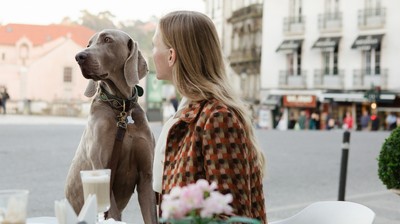 Kolléganőnk megosztja a tapasztalatait: egy hetet Bécsben töltött a kutyájával, egy állatbarát szállodában, így érezték magukat - kiskegyed.hu