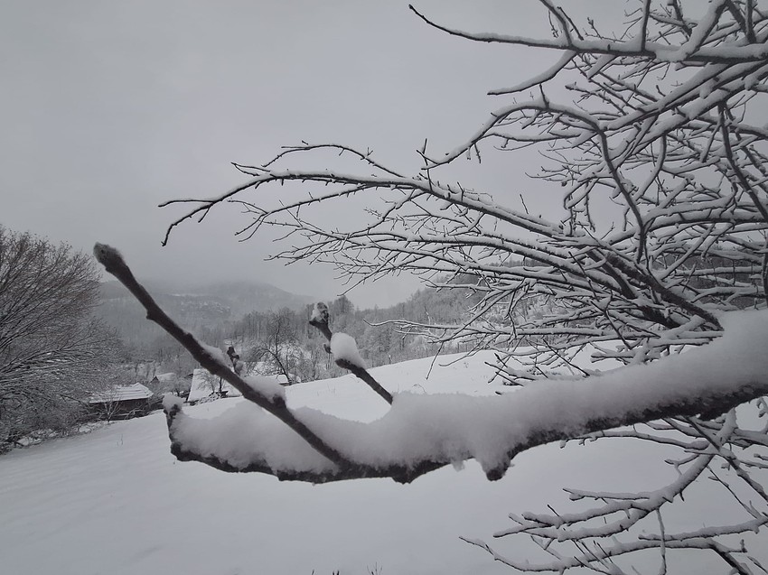 Kiša će preći u sneg u utorak u pojedinim krajevima Srbije