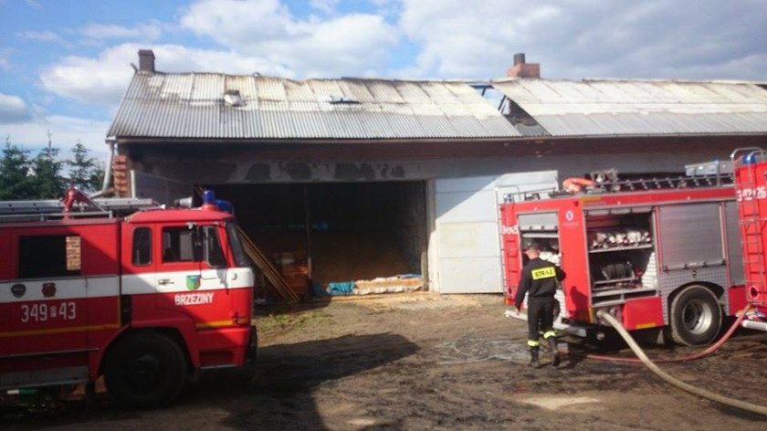 Pożar w Ostrowie Kaliskim