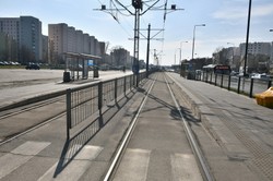 Ilu Polaków przestrzega kwarantanny? Premier: To jeden z najlepszych wskaźników w Europie