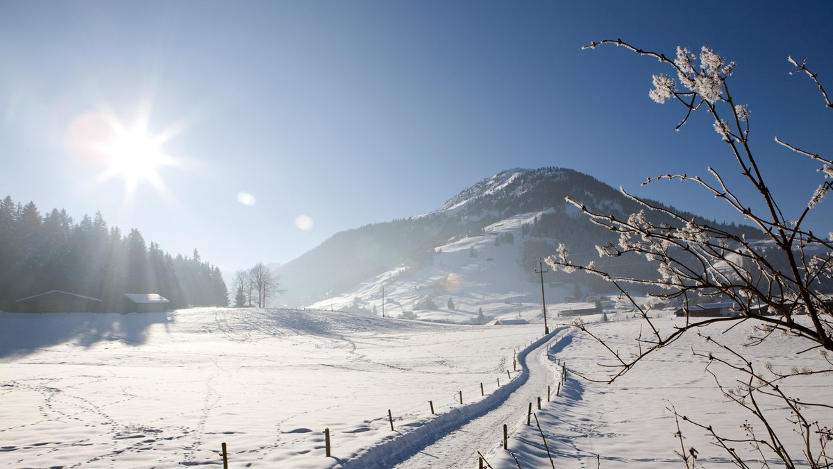 Kirchberg Tyrol Austria