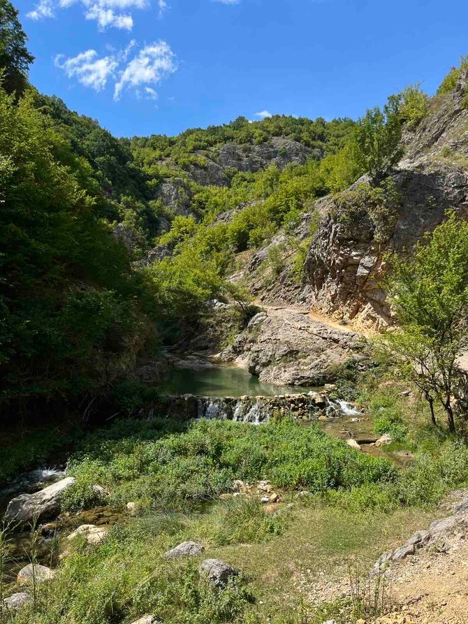 Dag-banjica