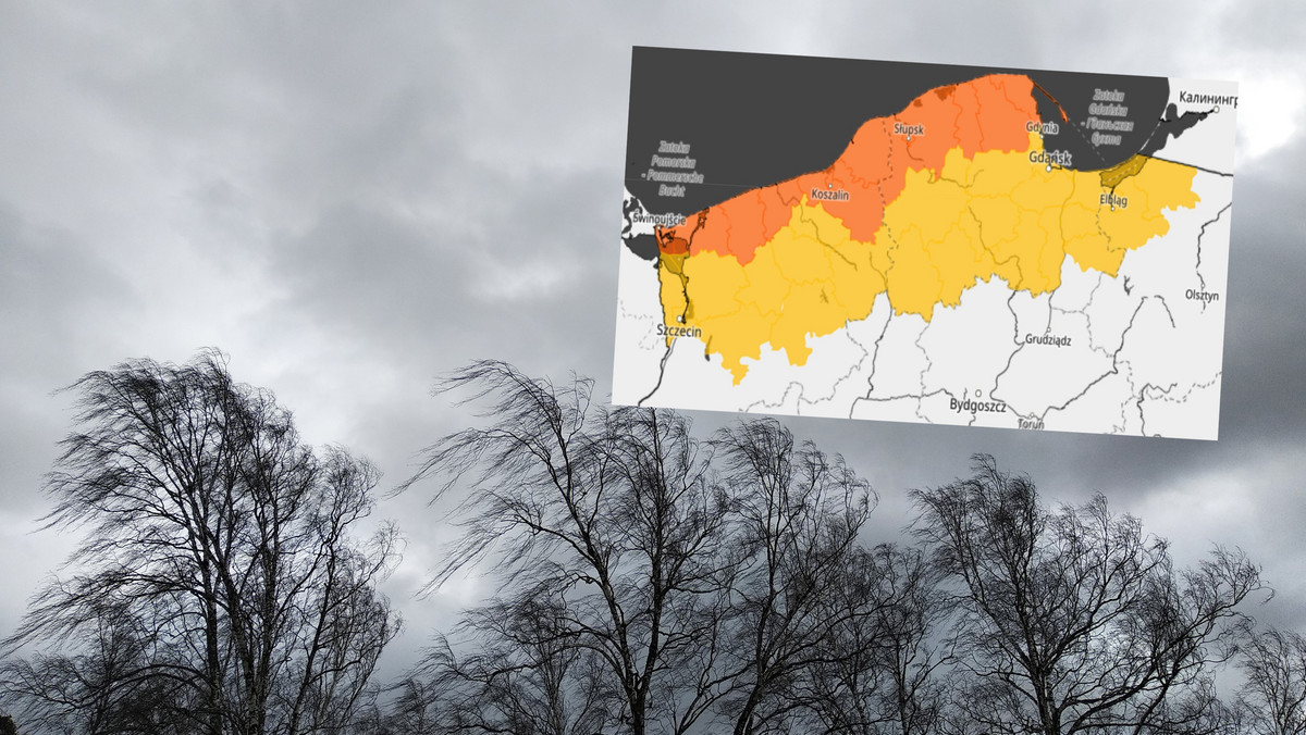 IMGW wydaje pomarańczowy alert. Do Polski nadciąga wichura