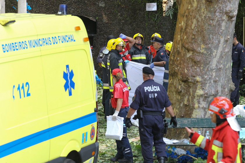 Tragedia na procesji. Drzewo zabiło pielgrzymów