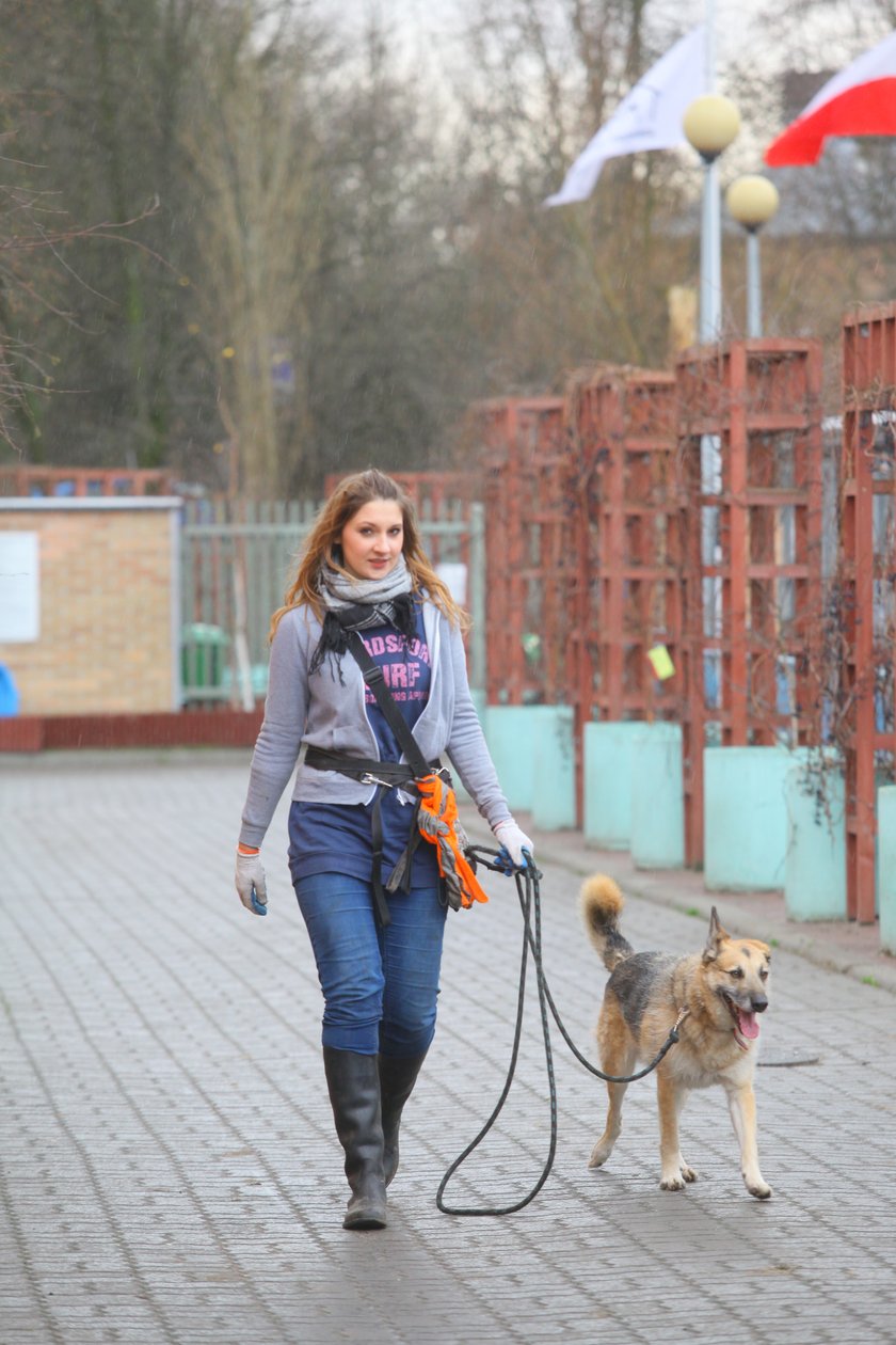 Zostań wolontariuszem w schronisku