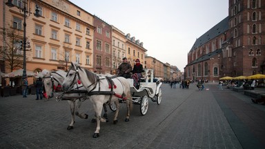 Pomimo upału na Rynku Głównym konie stoją w pełnym słońcu