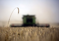 Fundusze rolne: Polska przegrała z KE przed unijnym sądem