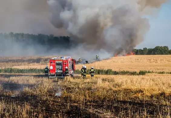 Pięciu Polaków pozywa Skarb Państwa. Prawnik tłumaczy kulisy sprawy klimatycznej