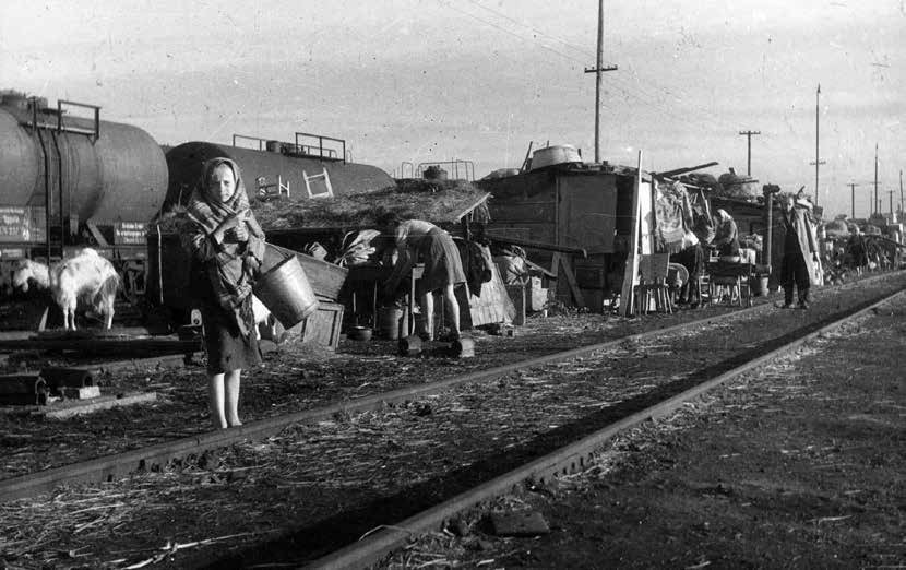 Życie na torach. Repatriacja Polaków ze Stanisławowa, Ligota koło Katowic, lipiec 1945 r.