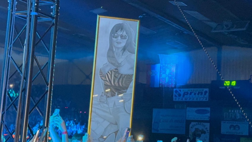 Ceca Ražnatović, koncert